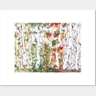 Birch Forest, Four Seasons Posters and Art